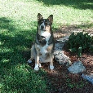 Meet your Posher, Debra